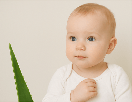 The Benefits of Aloe Vera for Babies - AloeVibe Baby – Organic Care for Little Ones
